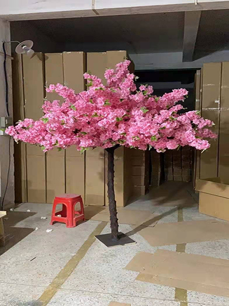 2.2米木杆樱花树